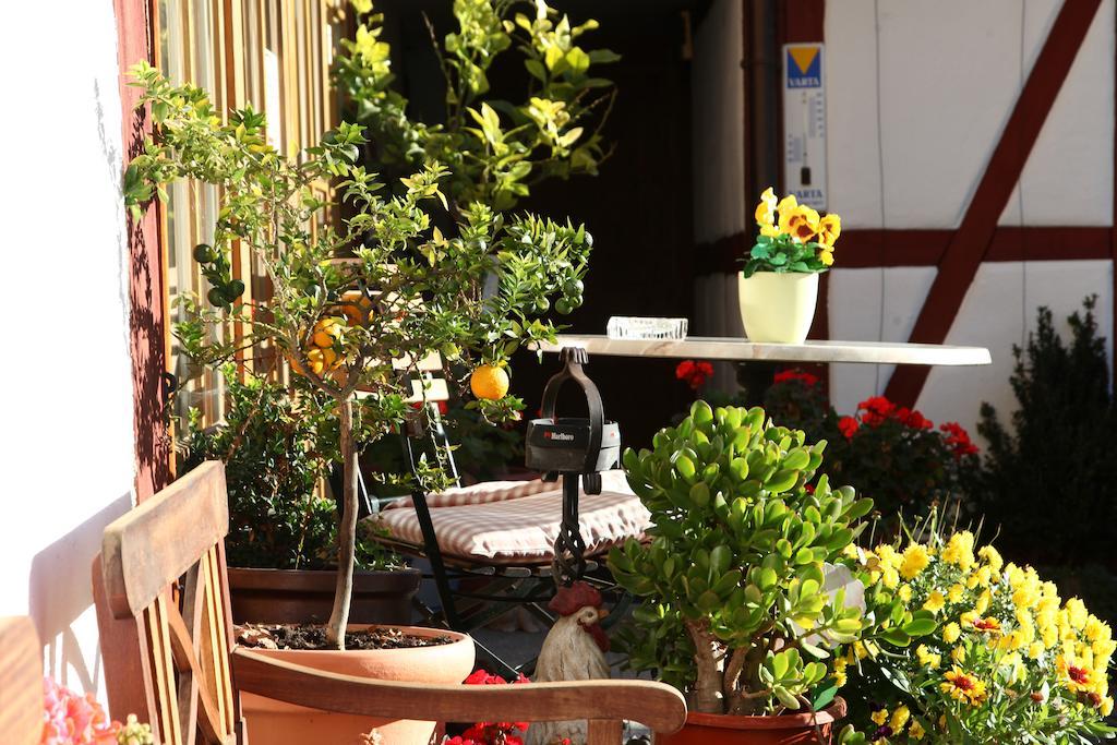 Gaestehaus Pfefferle Hotel Garni Und Ferienwohnungen Sigmaringen Luaran gambar